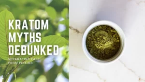KRATOM MYTHS DEBUNKED: SEPARATING FACT FROM FICTION